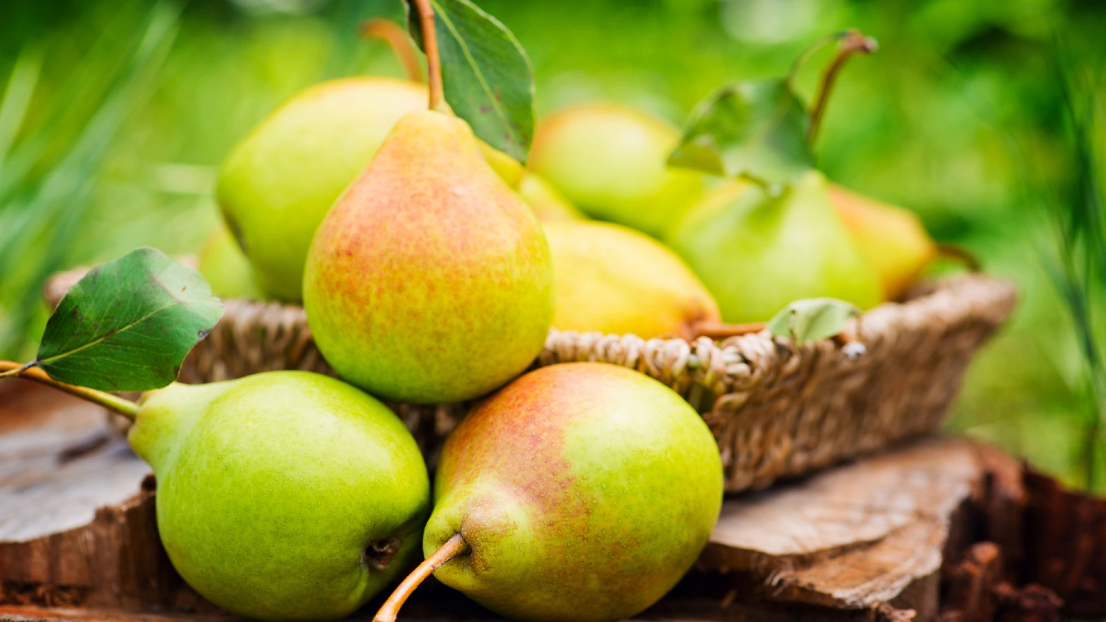 8 Health benefits of eating pears regularly