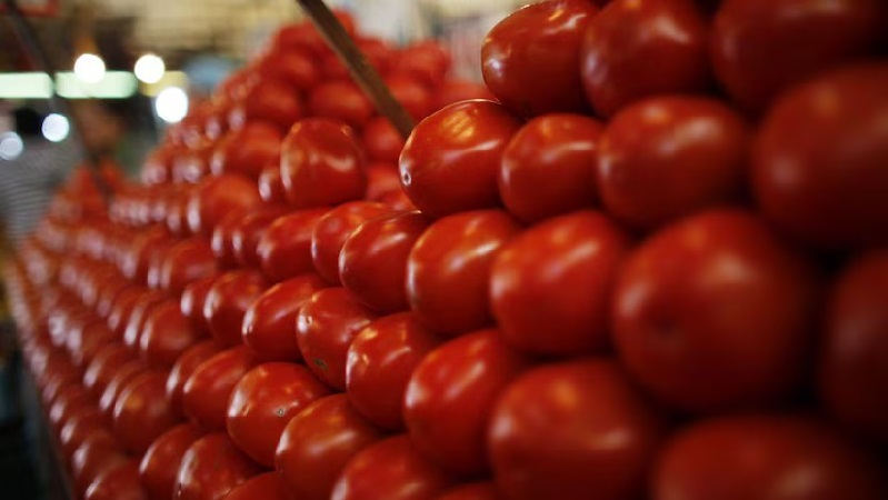 Tomato prices fall by 22.4%, consumer relieved as supply improves