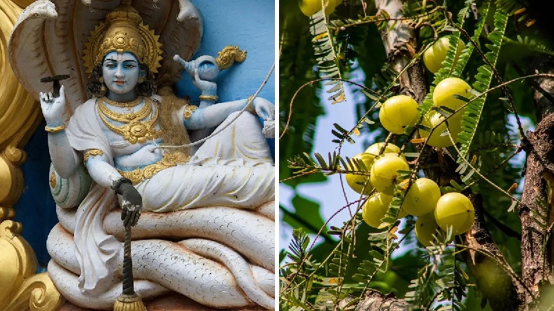 Know about the date, auspicious time, puja method, and importance of akshaya navami 2024