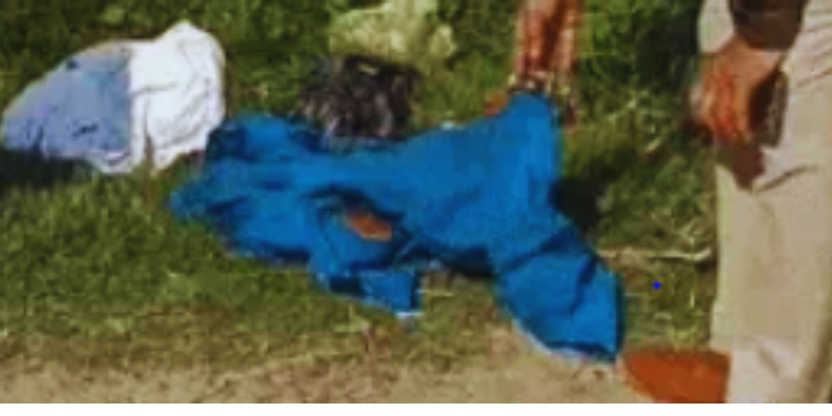 Newborn Fetus Found in Jalandhar Field, Wrapped in Blue Cloth