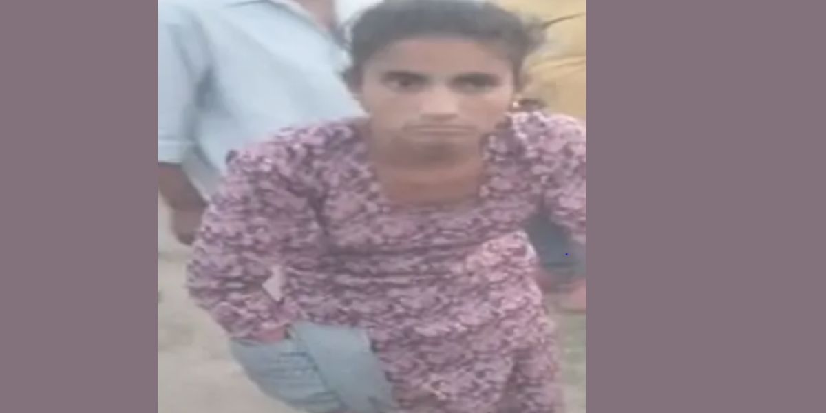 Jalandhar, Pitbull Attack, Dangerous Dogs, Pet Safety, Dog Attack, Animal Behavior, Public Safety, India News