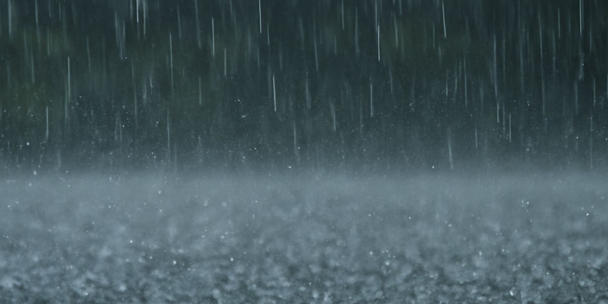 Jalandhar Rain Brings Relief from Heat and Benefits Crops