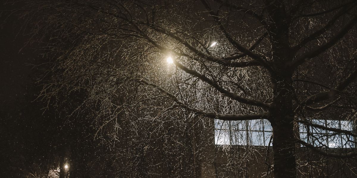 Punjab Shivers as Temperature Drops; Jalandhar and Ludhiana to Face Coldest November Nights