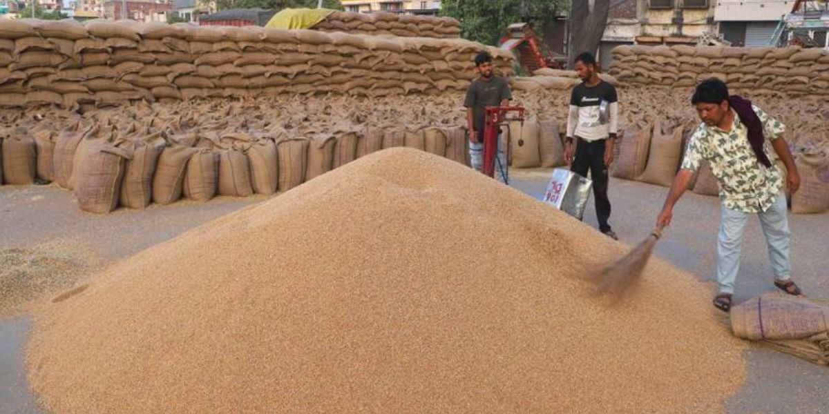 à¤•à¤ªà¥‚à¤°à¤¥à¤²à¤¾ à¤®à¥‡à¤‚ à¤—à¥‡à¤¹à¥‚à¤‚ à¤–à¤°à¥€à¤¦ à¤¨à¥‡ à¤ªà¤•à¤¡à¤¼à¥€ à¤°à¤«à¥à¤¤à¤¾à¤°, à¤²à¤•à¥à¤·à¥à¤¯ à¤•à¤¾ à¤†à¤§à¤¾ à¤ªà¤¾à¤°; à¤•à¤¿à¤¸à¤¾à¤¨à¥‹à¤‚ à¤•à¥‹ 416.2 à¤•à¤°à¥‹à¤¡à¤¼ à¤•à¤¾ à¤­à¥à¤—à¤¤à¤¾à¤¨