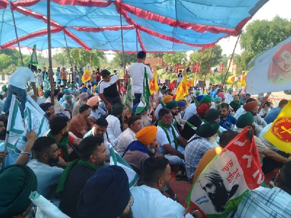 Read more about the article किसानों का विरोध प्रदर्शन: सड़कों और रेलवे ट्रैक पर प्रदर्शन के कारण बस और ट्रेन सेवाएं ठप