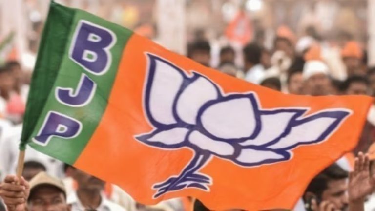 Read more about the article दिल्ली चुनाव: क्या भाजपा महिला सशक्तिकरण के लिए नकद हस्तांतरण योजना अपनाएगी?
