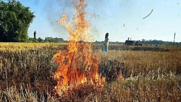 Read more about the article मध्य प्रदेश ने पंजाब को स्टबल बर्निंग के मामलों में पीछे छोड़ दिया