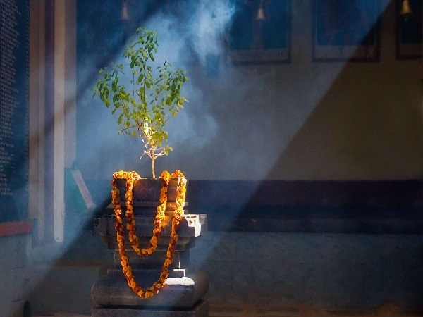 Read more about the article जानें उत्पन्ना एकादशी 2024 का व्रत, तुलसी पूजा और इसके लाभ