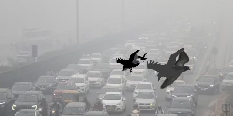 Read more about the article दिल्ली-एनसीआर के स्कूलों ने अपनाया हाइब्रिड(Hybrid) मोड, AQI ‘गंभीर’ श्रेणी में पहुंचा||