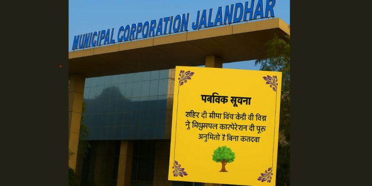 Read more about the article जलंधर नगर निगम की अपील – पेड़ों की कटाई बिना अनुमति के न करें
