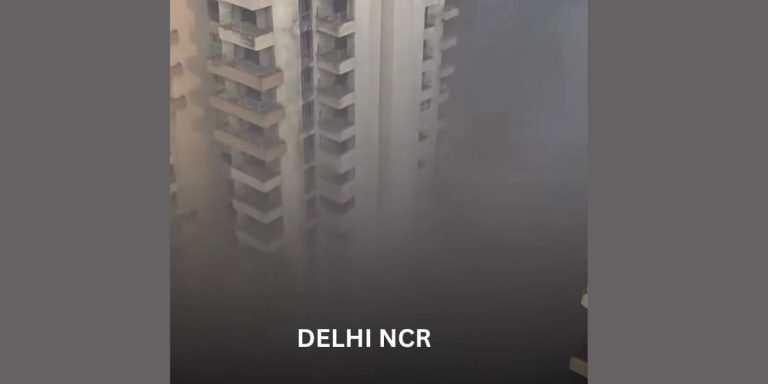 Read more about the article Delhi–NCR Pollution: Viral Post Says ‘Living Here Feels Like a Gas Chamber’